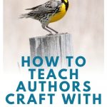 Nerdy Birdy is a wonderful mentor text for character development, community building, author's craft, and writing ideas. This post includes a freebie for teaching author's craft with the book.