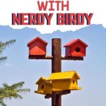 Nerdy Birdy is a wonderful mentor text for character development, community building, author's craft, and writing ideas. This post includes a freebie for teaching author's craft with the book.