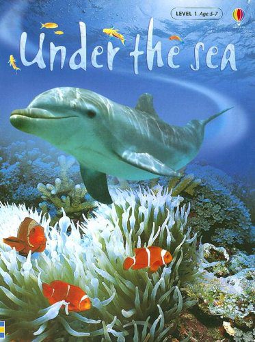 5+ Engaging Teaching Ideas and Resources with a Beach Theme