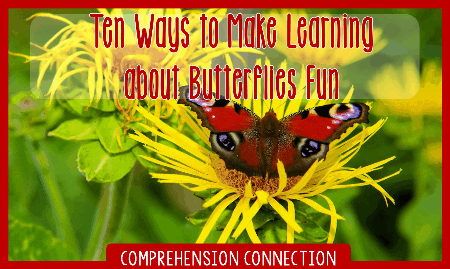 Celebrate spring with a unit on butterflies! This post includes a collection of teaching ideas and resources to make your planning easy. Celebrate spring with a unit on butterflies! This post includes a collection of teaching ideas and resources to make your planning easy. Great planning begins with a great collection of books.