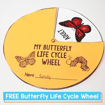 How to Make Learning about Butterflies Fun with 10 Easy Tips