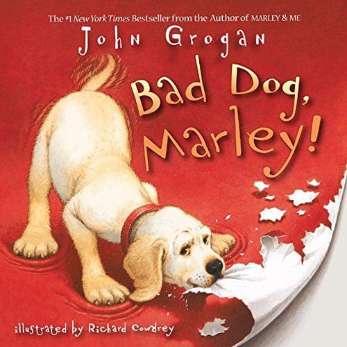 10 Amazing Picture Books for the Elementary Classroom