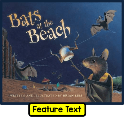 bats2bat2bthe2bbeach-8592170