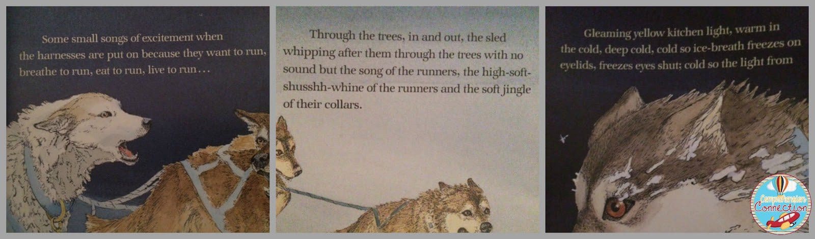 Looking for winter mentor text lessons? This post features the book, Dogteam by favorite author, Gary Paulsen. You can use it for teaching imagery and visualization. Stop by for this lesson and many others.