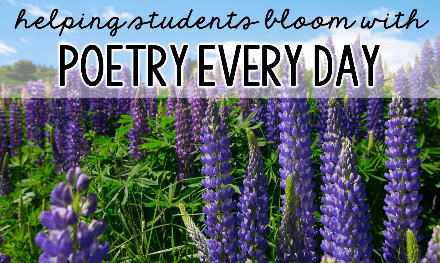 Poetry is for every day of the week, not just during Poetry Month! This post offers ideas you can use for implementing Poem of the Week.