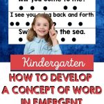 Emergent readers need lots of support, and developing a concept of word doesn't happen overnight. Gradually, we see emergent readers transform from non-readers to readers over the course of the year. In this post, I share a review of how concept of word develops and give you a new COW poem to add to your collection.